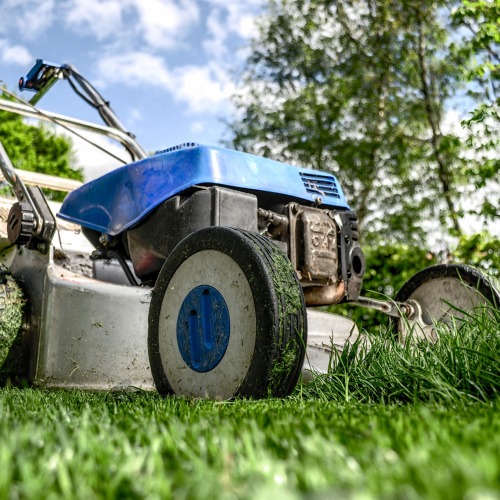 Der Garten im Juni