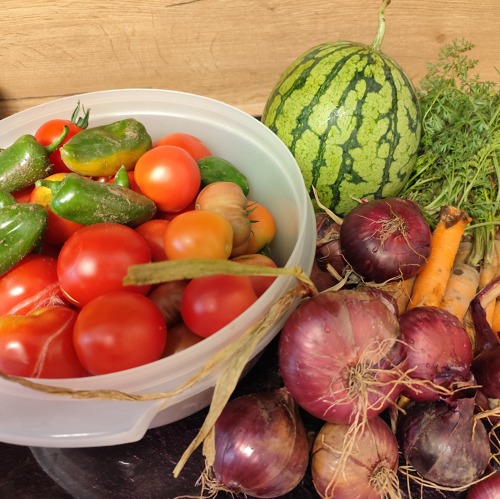 Der Garten im August: Endspurt, Erntegl&uuml;ck und Sommergenuss