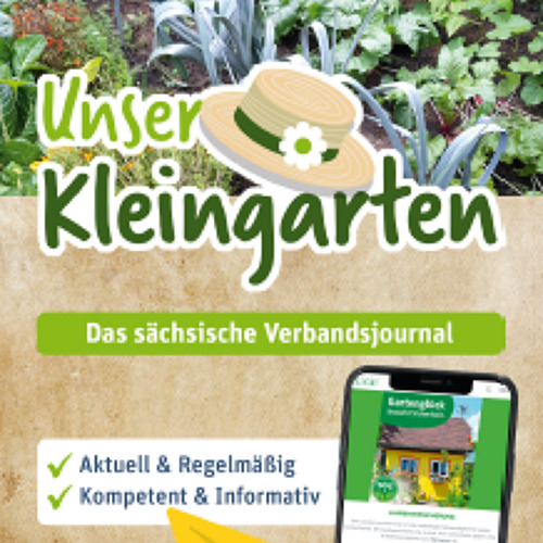 Gartentipp Juni - Jetzt ist Saat- und Pflanzzeit